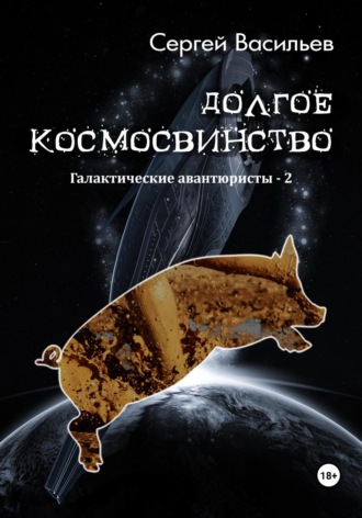 Сергей Васильев, Долгое космосвинство